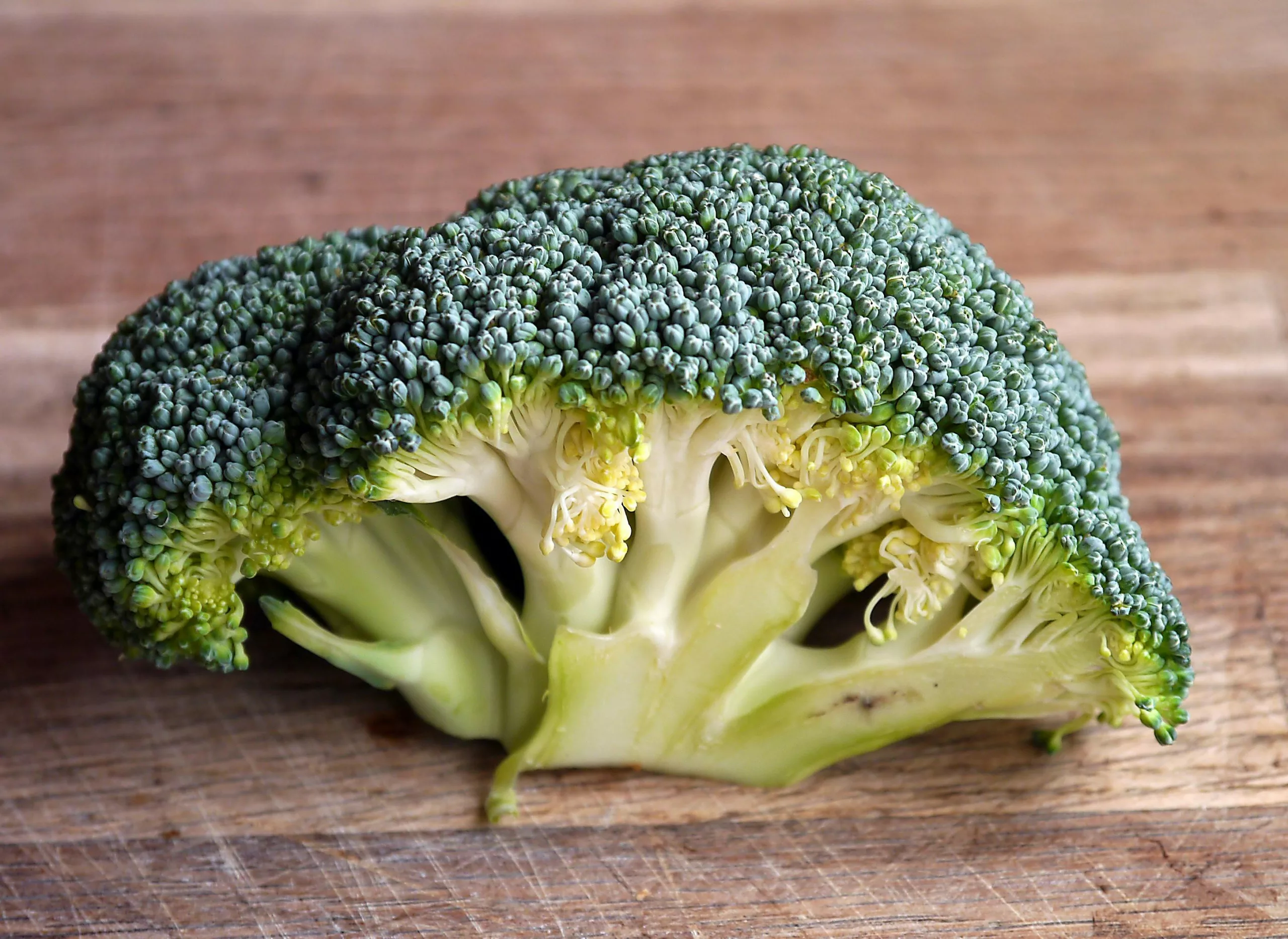 Twee roosjes broccoli