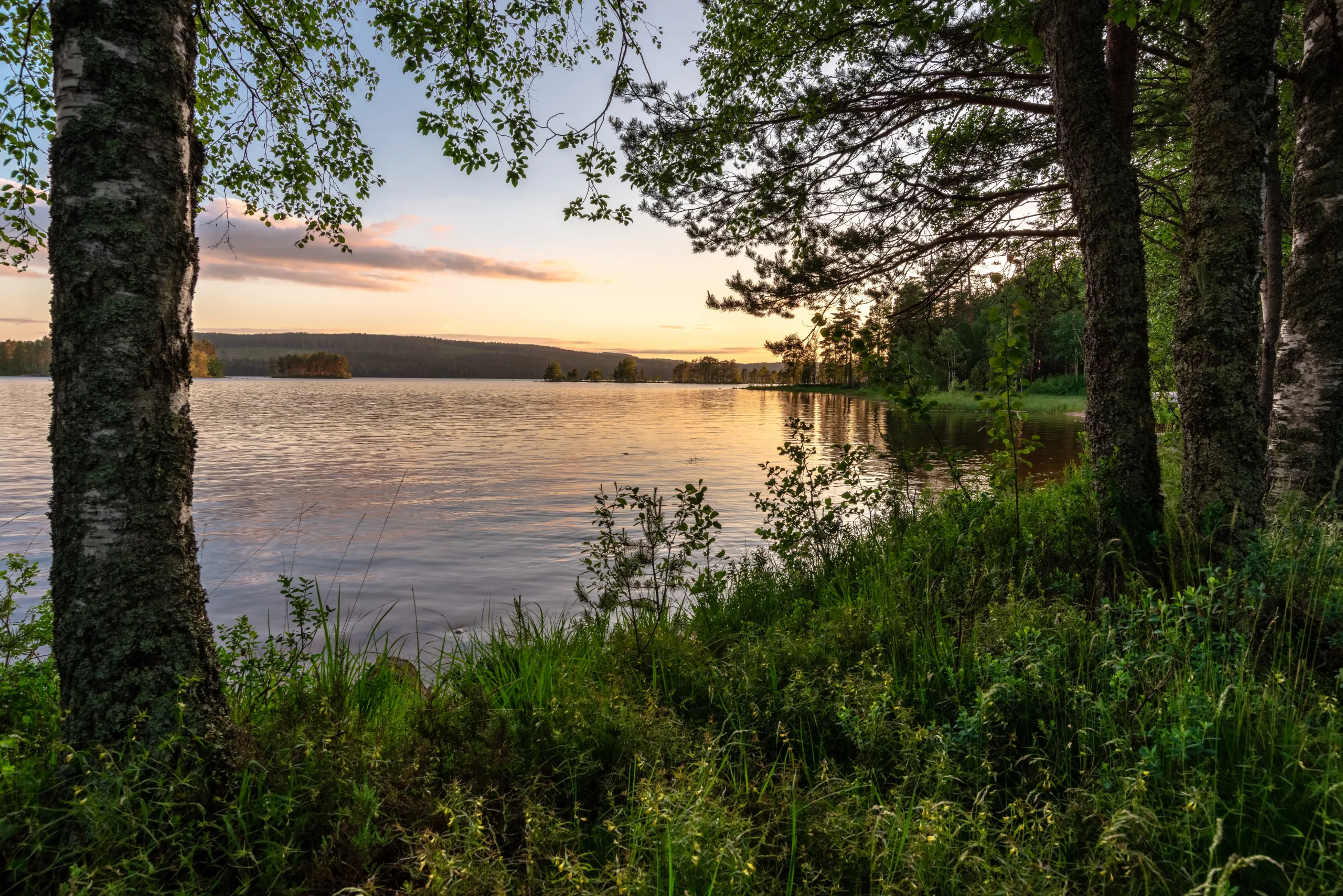 Natuur in Finland