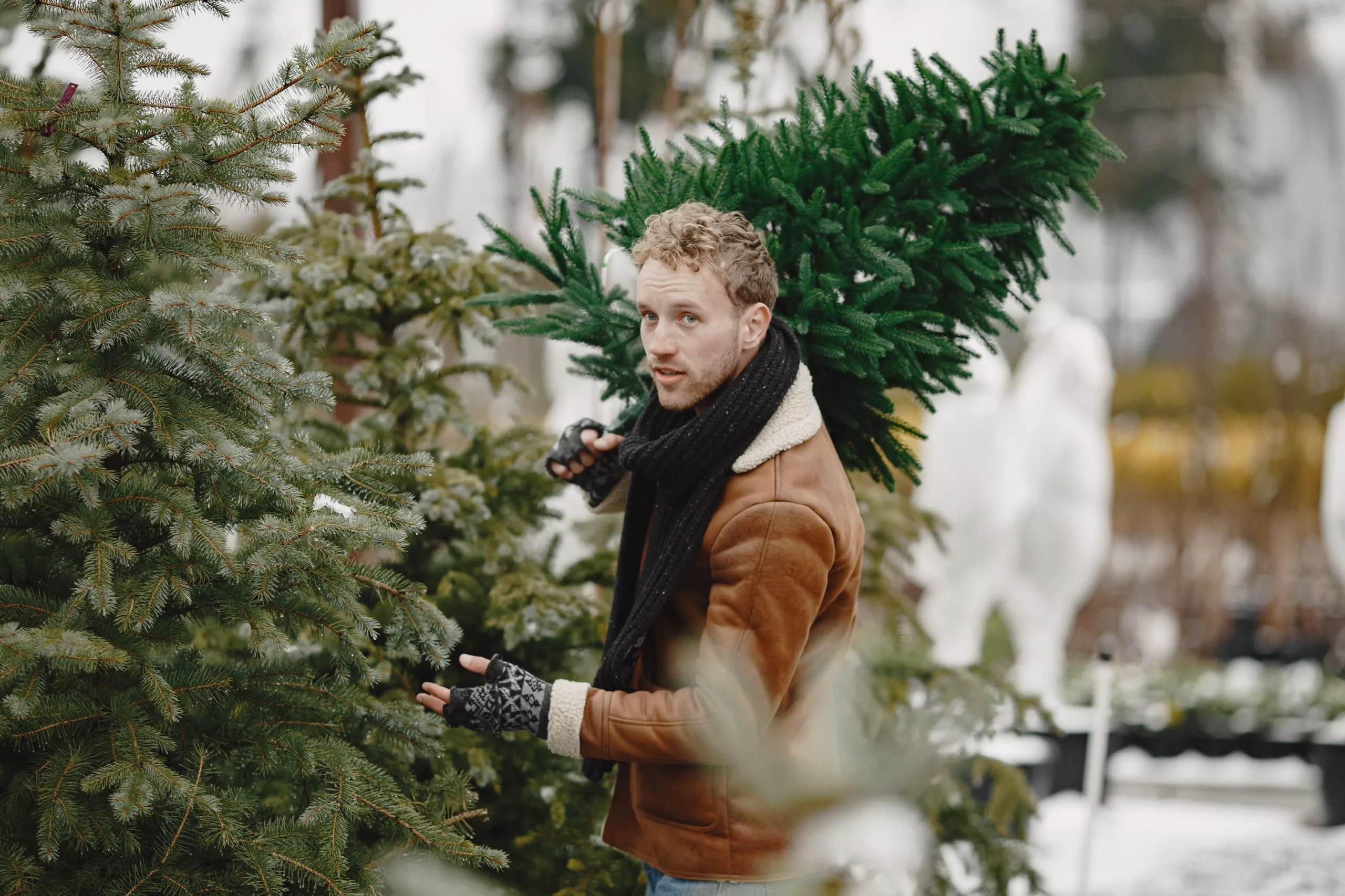 Man brengt kerstboom weg