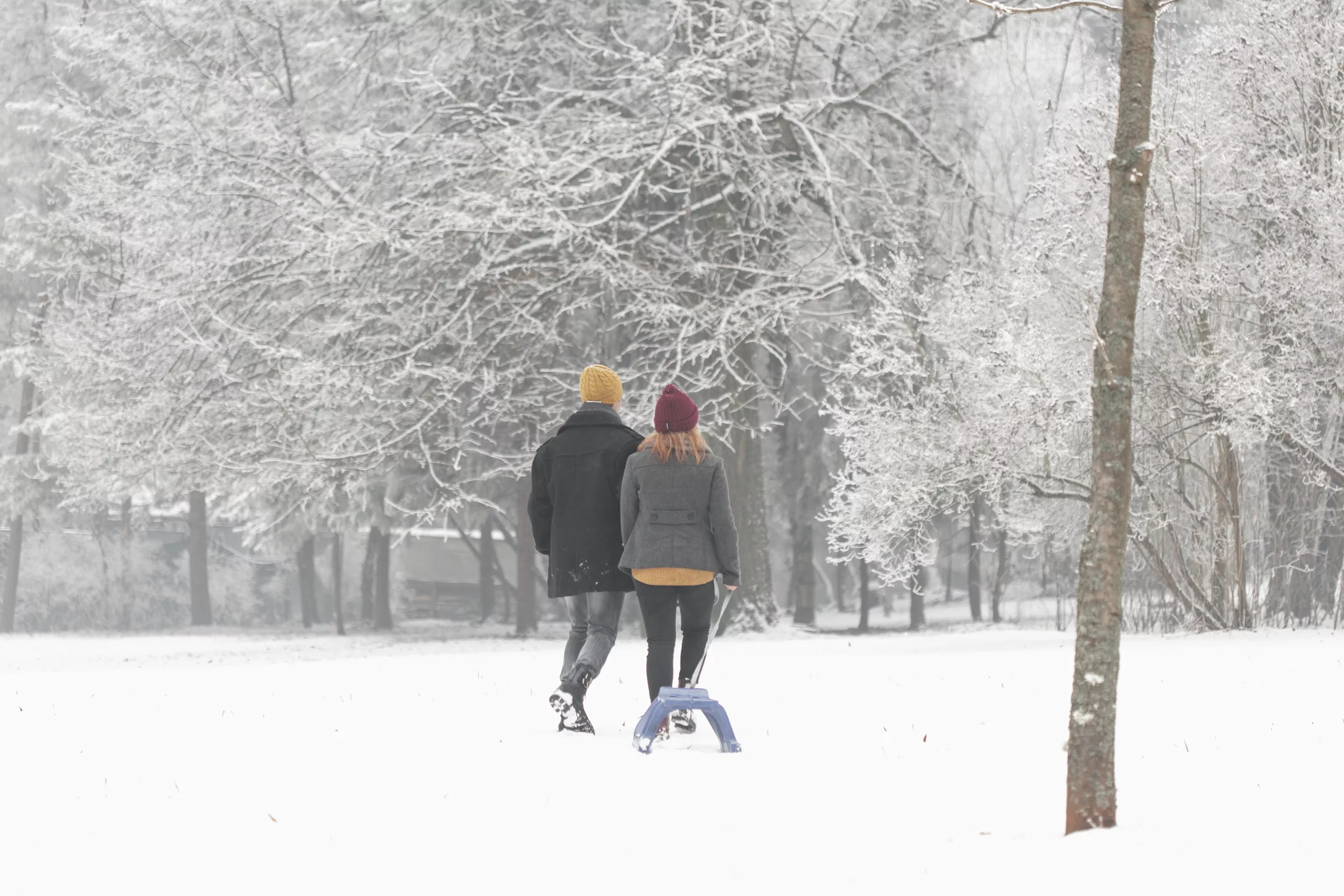 Koppel loopt door de sneeuw